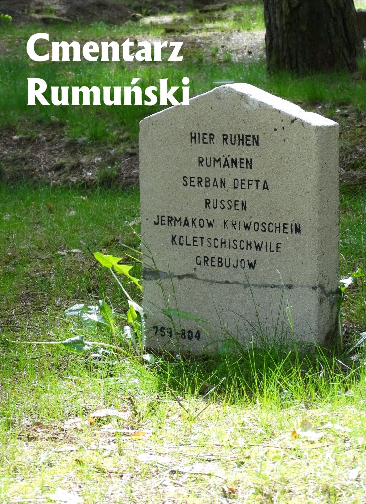 Zdjęcie płyty nagrobnej na cmentarzu Rumuńskim
