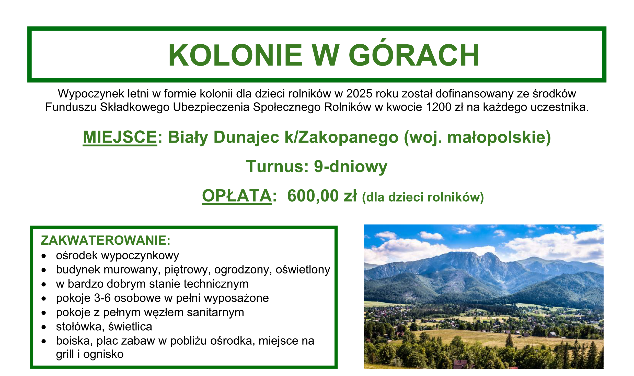 kolonie informacja